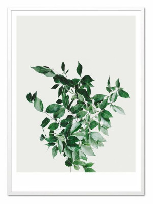 Obraz plakat na płótnie przyroda 53x73cm