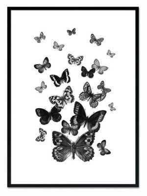 Obraz na płótnie dla botanika motyle 53x73cm