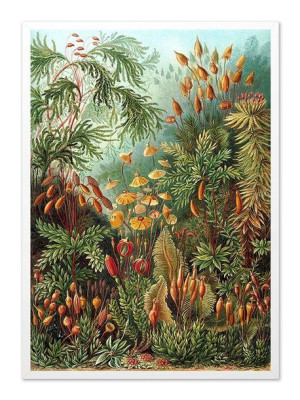 Obraz na płótnie tropikalny liście i kwiaty 53x73cm
