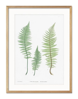Obraz plakat papier 33x43cm