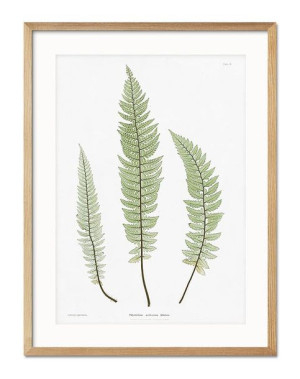 Obraz plakat papier 33x43cm