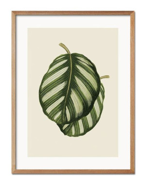 Obraz plakat papier 33x43cm