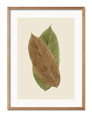 Obraz plakat papier 33x43cm