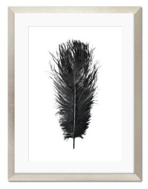 Obraz do salonu czarne ptasie pióro 33x43cm