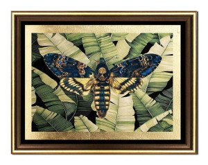 Obraz plakat na płótnie owad 33x43cm