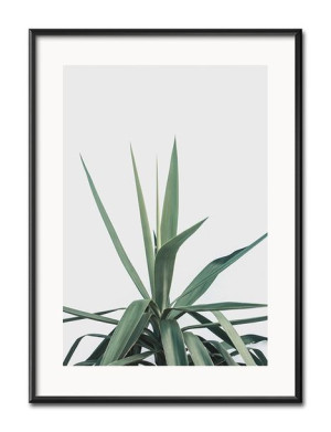 Obraz plakat przyroda papier 31x41cm