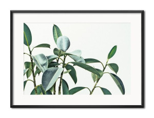Obraz plakat przyroda papier 31x41cm