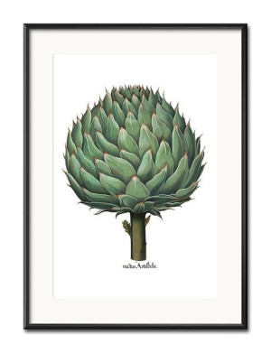 Obraz plakat przyroda papier 31x41cm