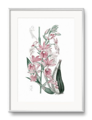 Obraz malownicze kwiaty 31x41cm