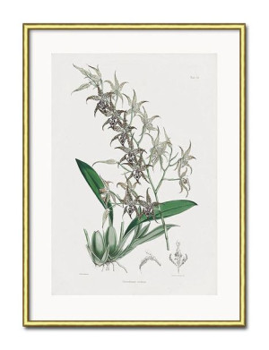 Obraz malownicze kwiaty 31x41cm
