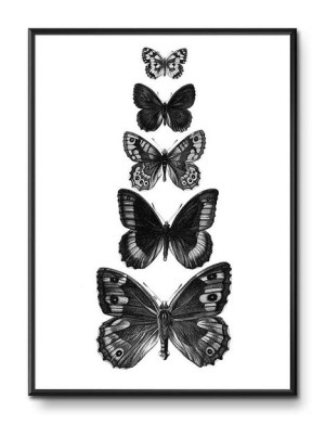 Obraz plakat przyroda papier