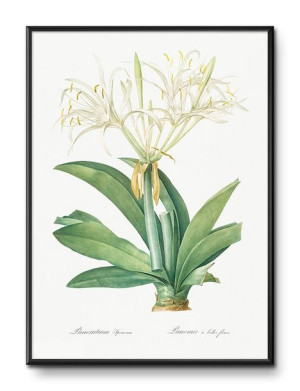 Obraz tropikalne liście i kwiaty przyroda 31x41cm