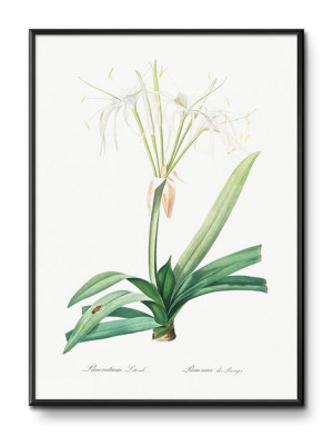 Obraz tropikalne liście i kwiaty przyroda 31x41cm