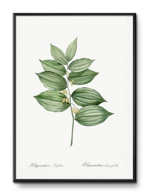 Obraz tropikalne liście i kwiaty przyroda 31x41cm