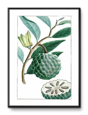 Obraz tropikalne liście i kwiaty przyroda 31x41cm