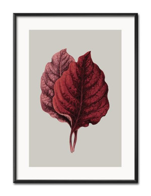 Obraz tropikalne liście i kwiaty przyroda 31x41cm