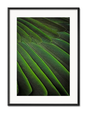 Obraz tropikalne liście i kwiaty przyroda 31x41cm