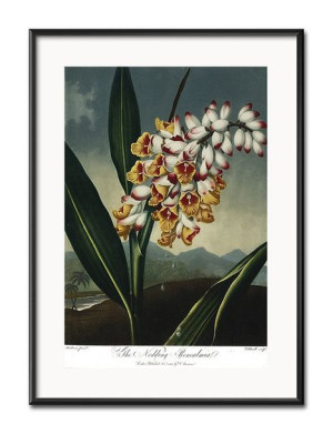 Obraz tropikalne liście i kwiaty przyroda 31x41cm