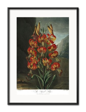 Obraz tropikalne liście i kwiaty przyroda 31x41cm