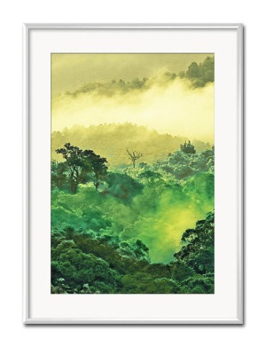 Obraz tropikalne liście i kwiaty przyroda 31x41cm