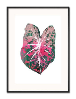 Obraz tropikalne liście i kwiaty przyroda 31x41cm