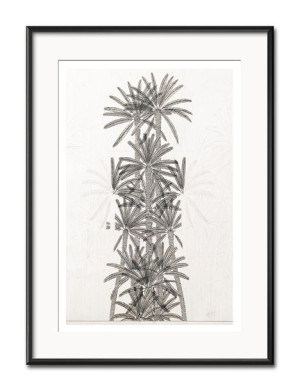 Obraz do salonu czarne palmy 31x41cm