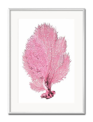 Obraz do salonu różowy koralowiec 31x41cm