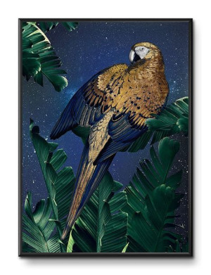 Obraz papuga na nocnym niebie 31x41cm