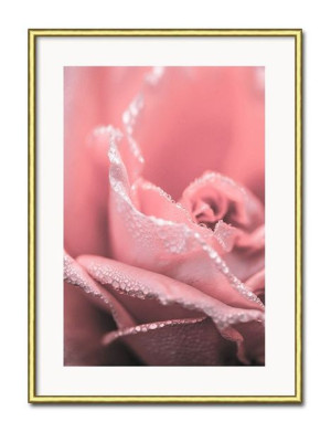 Obraz glamour rosa na róży 31x41cm
