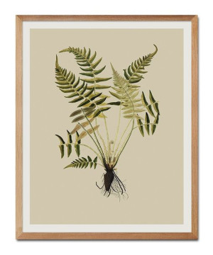 Obraz plakat na płótnie przyroda 43x53cm