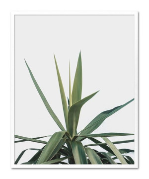 Obraz plakat na płótnie przyroda 43x53cm