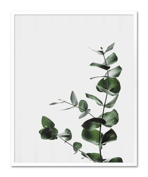 Obraz plakat na płótnie przyroda 43x53cm