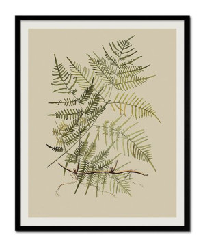 Obraz plakat na płótnie przyroda 43x53cm