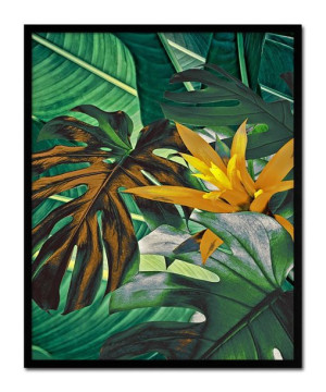 Obraz na płótnie tropikalne liście i kwiaty dzika przyroda 43x53cm