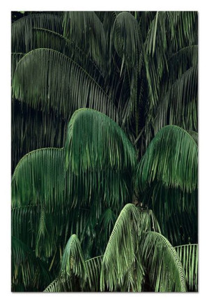 Obraz na płótnie palma nocą 60x90cm