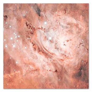 Obraz na płótnie różowy kosmos 60x60cm