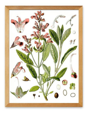 Obraz plakat na płótnie 33x43cm