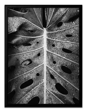 Obraz plakat na płótnie glamour 33x43cm