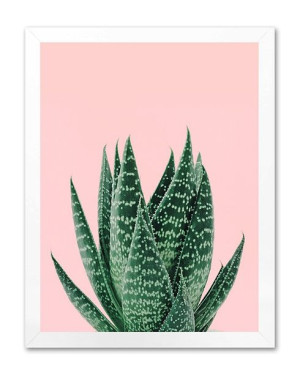 Obraz na płótnie aloes 33x43cm
