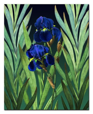 Obraz plakat na płótnie 40x50cm