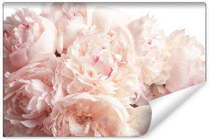 Fototapeta FLIZELINOWA do Sypialni Piękne Peonie 3D 400cm x 280cm