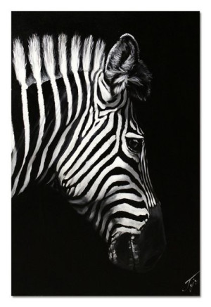 Obraz olejny ręcznie malowany 60x90cm Zebra