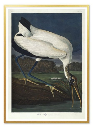 Obraz plakat na płótnie 53x73cm