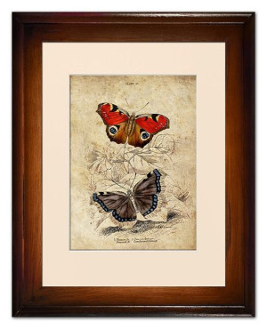 Obraz motyle retro 37x47cm