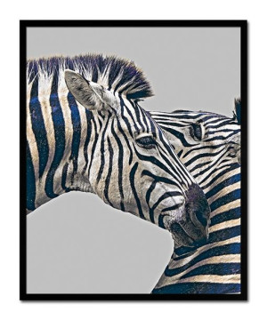 Obraz na płótnie zebra 43x53cm