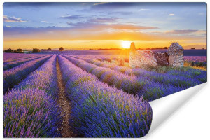 Fototapeta Krajobraz 3D Pole Lawendowe i Zachód Słońca 270cm x 180cm