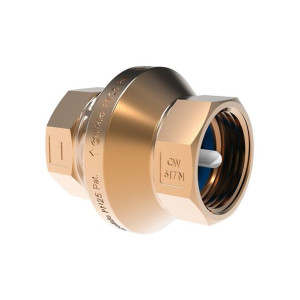 Zawór Zwrotny Pion 1" Calido Pionier