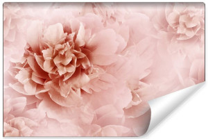 Fototapeta DO SALONU Piękne Kwiaty Piwonii Efekt 3D 300cm x 210cm