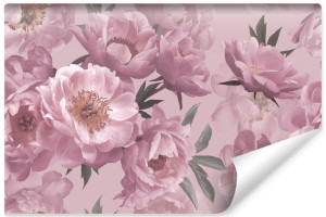 Fototapeta do Sypialni PASTELOWE Piwonie Efekt 3D 360cm x 240cm