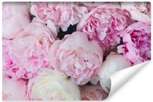 Fototapeta ŚCIENNA 3D do Salonu MODNE KWIATY Piwonie 405cm x 270cm
